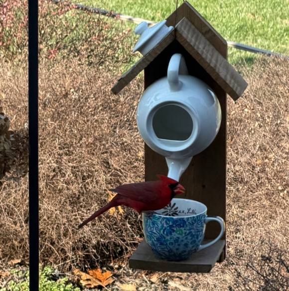 Rustic Wooden Handcrafted Bird Feeder April Showers Bring May Flowers - Picture 15 of 16